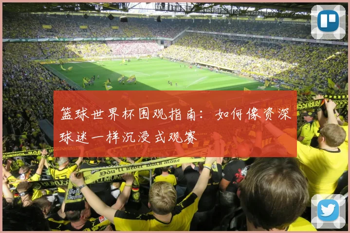 篮球世界杯围观指南:如何像资深球迷一样沉浸式观赛