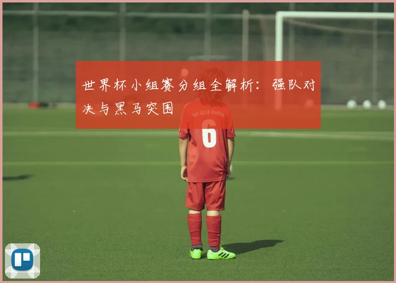 世界杯小组赛分组全解析:强队对决与黑马突围