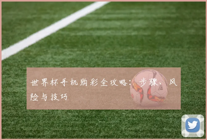 世界杯手机购彩全攻略:步骤、风险与技巧