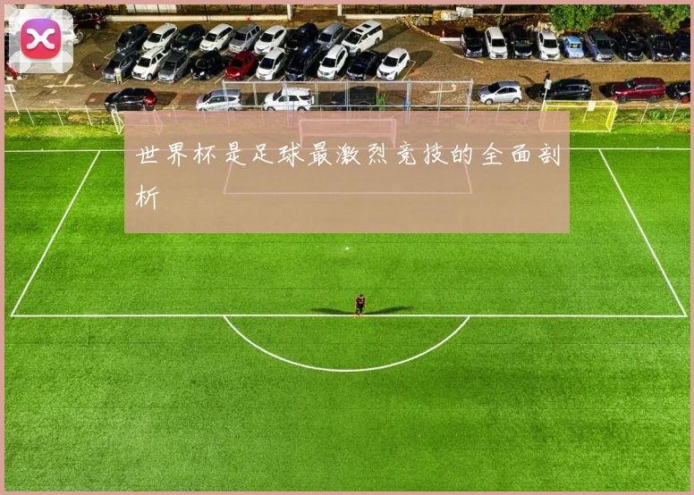 世界杯是足球最激烈竞技的全面剖析