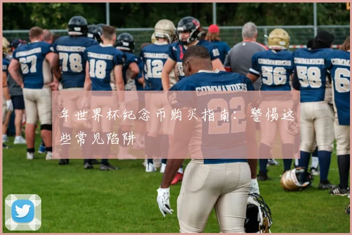 年世界杯纪念币购买指南:警惕这些常见陷阱