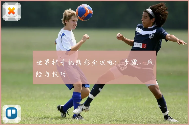 世界杯手机购彩全攻略:步骤、风险与技巧